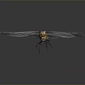 Dragonfly With Transparent Wings Yellow Head And Black White Body On Gray Background