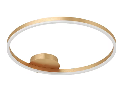 Modern Circular Ceiling Light With Golden Frame And White Trim Design 3d model
