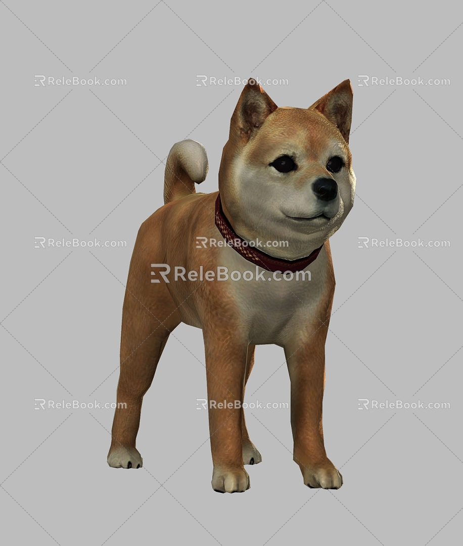 Akita dog animal dog dog Akita dog small animal puppy cute pet dog 3d model