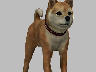 Akita dog animal dog Akita dog small animal puppy cute pet dog 3d model