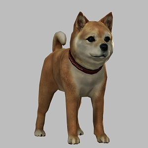 Akita dog animal dog Akita dog small animal puppy cute pet dog 3d model