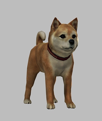 Akita dog animal dog Akita dog small animal puppy cute pet dog 3d model