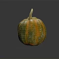 Fresh Single Green And Orange Striped Pumpkin With Natural Frosted Surface On Dark Background