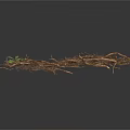 Arbor Tree Roots With Natural Dried Texture And Small Green Shoots