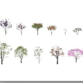 Different Types Of Colorful Trees For Garden Landscape And Decoration