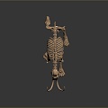 Modern skeleton elephant skeleton bone 3d model