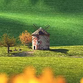 Green Rolling Hills Landscape With Old Windmill Orange Green Trees Sheep Grazing And Yellow Flowers