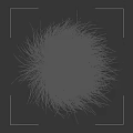 Feathery Brown Yellow Grass Leaves In White Container With Dark Background Height Scale