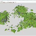 Lush Green Potted Plants with Trailing Vines and Vibrant Leaves for Indoor Decoration