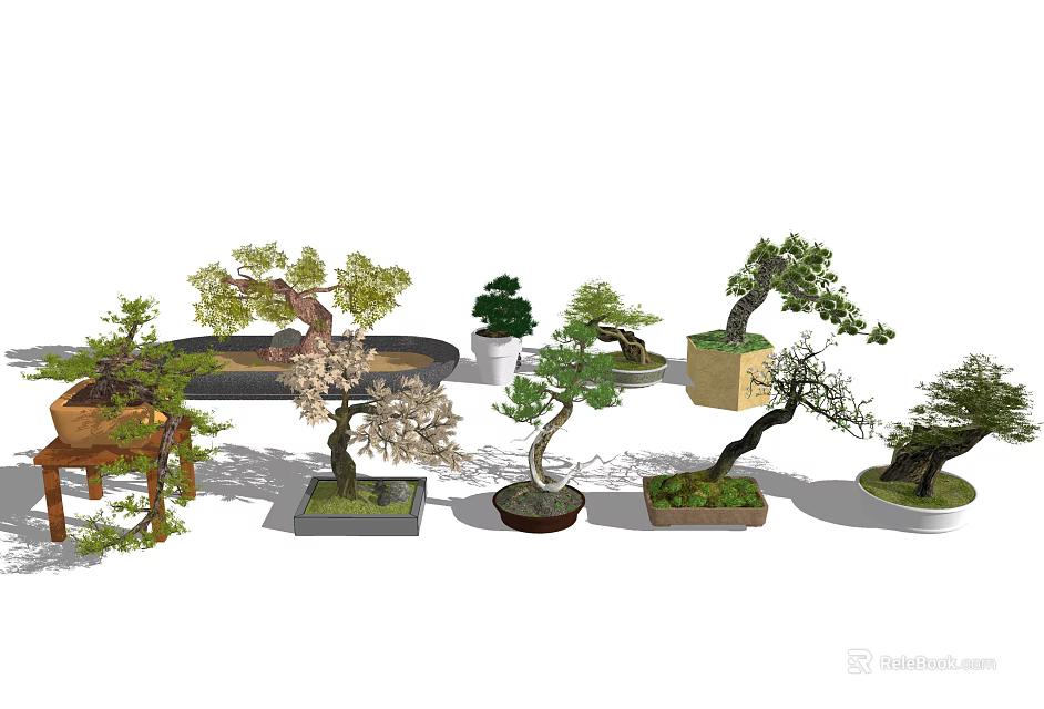 Various Bonsai Potted Plants With Different Shapes And Decorative Containers 3d model 