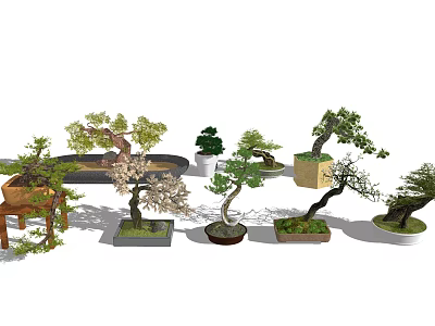 Various Bonsai Potted Plants With Different Shapes And Decorative Containers 3d model