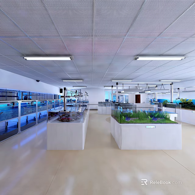 Modern Public Office Space Interior With Open Layout And Ergonomic Furniture 3d model 