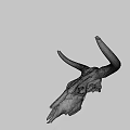 Animal Skull With Large Curved Horns Natural Brown Decorative