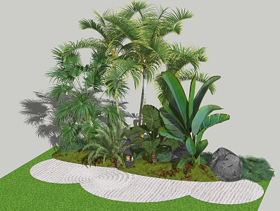 plantain plantlet cycas tropical plant 3d model