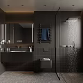 Modern Bathroom Interior With Black Tiles Shower Mirror Vanity Towel Rack And Window Blinds