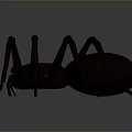 Dark Spider Model With Long Legs On Gray Gradient Background