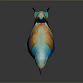 Colorful Blue Bird with Orange and Brown Wings Long Tail on Gray Background