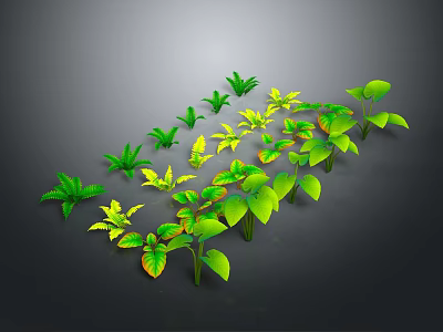 Indoor Decorative Plants With Green And Yellow Leaves In Various Shapes Arranged On Dark Background 3d model