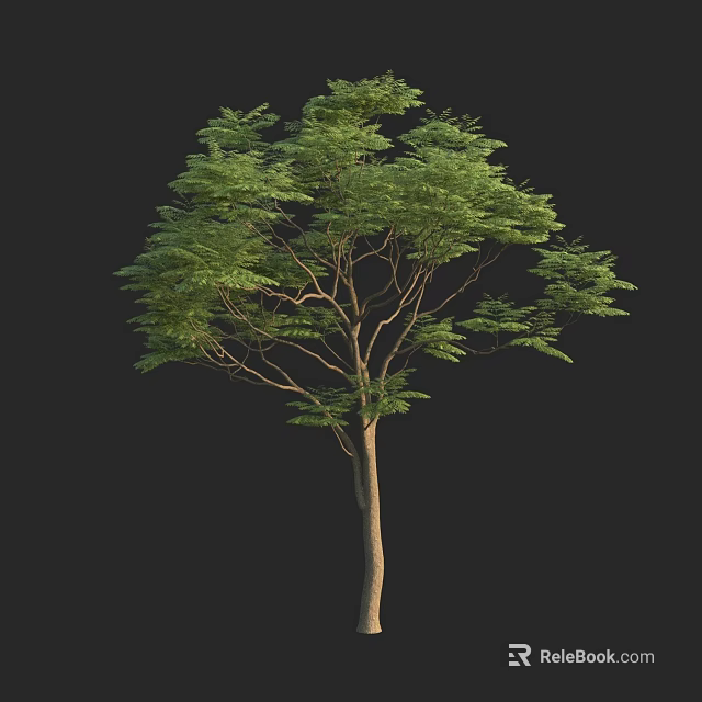 Lush Green Arbor with Dense Foliage Tall Trunk and Spreading Branches 3d model