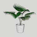 Bonsai Potted Plant with Green Palm like Leaves in White Minimalist Pot for Indoor Decoration