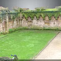Ancient Architecture Ruins with Gothic Stone Walls Covered in Moss and Internal Lawn