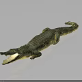 Realistic Crocodile Model With Open Mouth And Green Golden Skin On Grey Background
