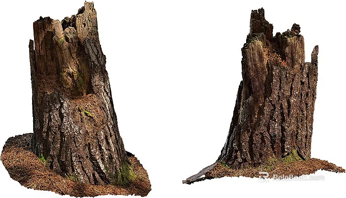 Old Tree Stumps With Rough Bark And Mossy Base In Natural Scene 3d model 