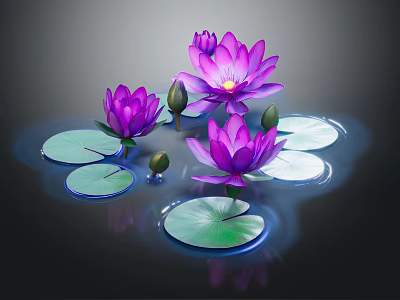 Vibrant Purple Lotus Flowers With Lily Pads And Buds Floating In Water 3d model