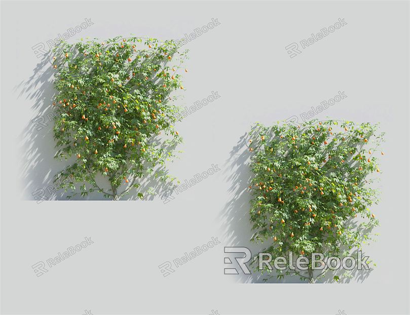 Modern Vine Climbing Vine Plant model