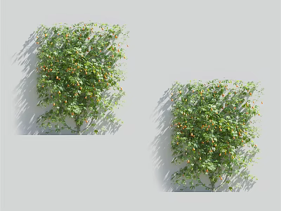 Lush Green Vines With Abundant Leaves And Red Berries Adorning Gray Wall 3d model