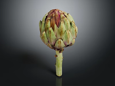 Fresh Whole Artichoke With Green Purple Bracts And Stem On Dark Background 3d model