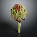 Fresh Whole Artichoke With Green Purple Bracts And Stem On Dark Background