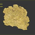 Natural Coral Formation With Brown Beige Porous Texture And Irregular Shape On Dark Background