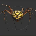 Detailed Yellow And Black Striped Spider With Long Legs On Dark Background