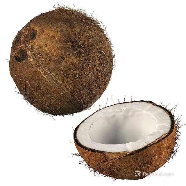 Whole And Halved Coconut Showing White Flesh 3d model 