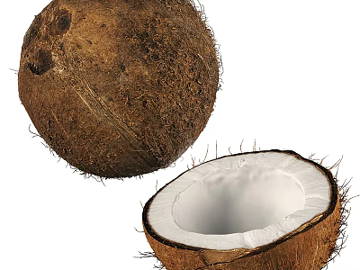 Whole And Halved Coconut Showing White Flesh 3d model