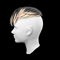 Game Movie Character 3D Head Model With Black Blonde Gradient Short Hair
