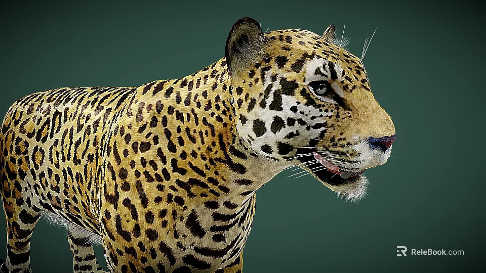 Realistic Jaguar Game Character With Detailed Spotted Fur And Side Profile 3d model 