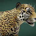 Realistic Jaguar Game Character With Detailed Spotted Fur And Side Profile