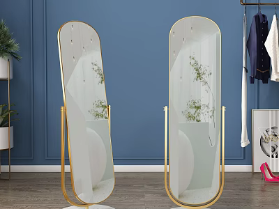 Gold Frame Floor Mirrors In Blue Wall Room With Plants Hanging Clothes And High Heels 3d model