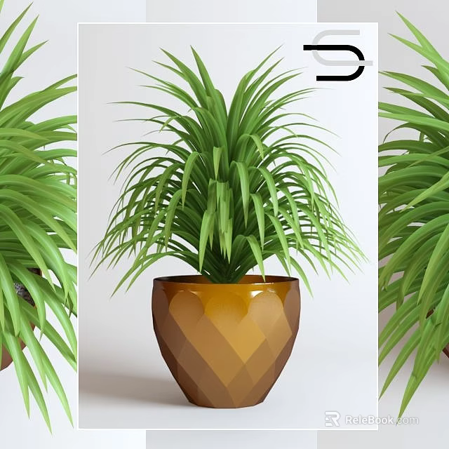 Lush Green Leafy Bonsai Plant In Brown Geometric Patterned Ceramic Pot 3d model