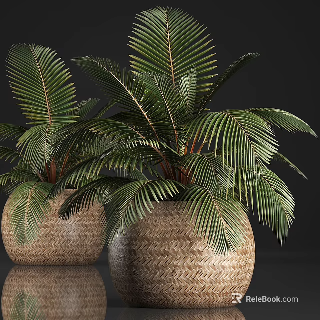 Two Woven Texture Planters With Large Green Palm Leaf Potted Plants 3d model 