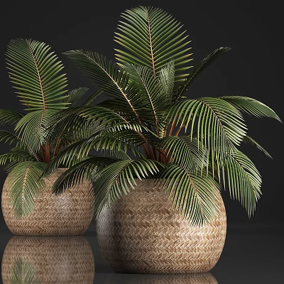 Two Woven Texture Planters With Large Green Palm Leaf Potted Plants 3d model