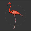 Red Flamingo With Spread Vibrant Feathers Standing On Long Legs Against Dark Background