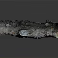 Weathered Wooden Log With Green Moss Growth And Metallic Surface Texture
