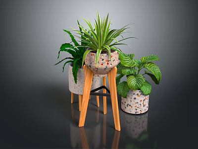 Potted Green Plants In Speckled Pots On Wooden Tripod Stand With Dark Reflective Surface Arrangement 3d model