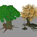 Lush Green and Golden Leaf Arbor Trees with Exposed Roots and Surrounding Stones