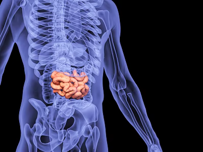 Advanced 3D Medical Imaging Device For Human Skeleton And Intestines Visualization 3d model