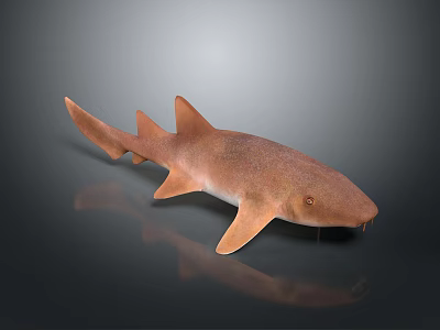 Realistic Brown Shark With Smooth Skin And Sharp Fins Swimming In Dark Water 3d model
