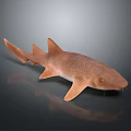 Realistic Brown Shark With Smooth Skin And Sharp Fins Swimming In Dark Water